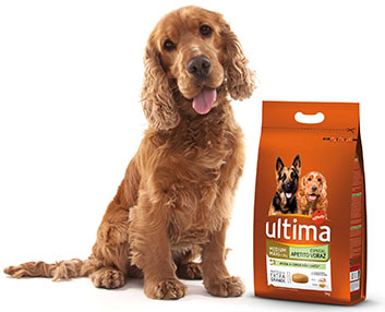 Un alimento especial para perros glotones